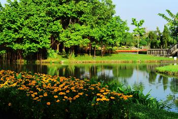Traumhafter Suan Luan Park in Bangkok - Bild 1 - mit freundlicher Genehmigung von Depositphotos 