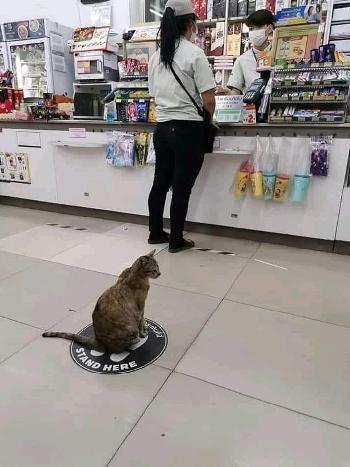 Typisch Thai - alles anders aber schn Bild 3 - 