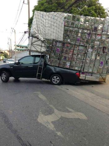 Typisch Thai - alles anders aber schn Bild 6 - 