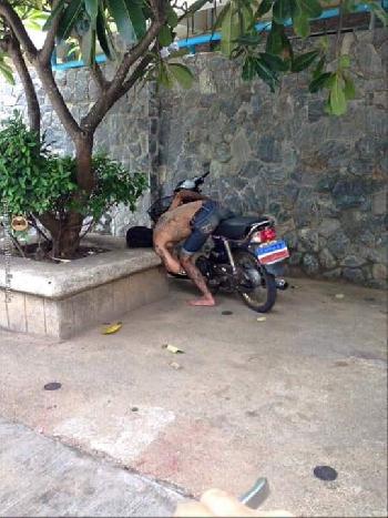 Typisch Thai - alles anders aber schn Bild 7 - 