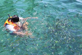 Zoom Surin Islands