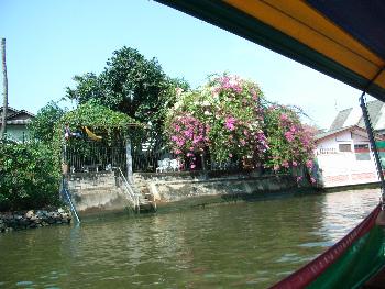 Zoom Unterwegs auf Bangkoks Klongs - Bild 8