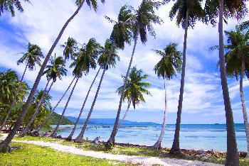 Zoom Koh Taen (Tan) Provinz Surat Thani Bild 1