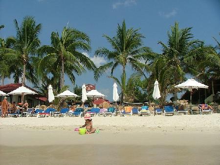 Koh Samui - Hotel + Allg. Tips erbeten Bild 1