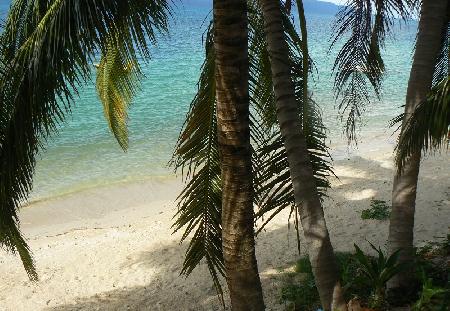 Palmenstrand gebucht, was gibt es Neues vor Ort ? Bild 1