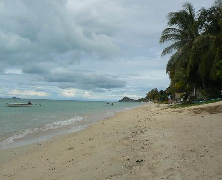 Palmenstrand gebucht, was gibt es Neues vor Ort ? Bild 2