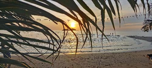 Ko Chang 11/2024 Bild 1