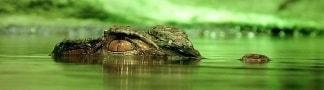Gesundheit/Gefahren Thailand Gesundheit/Gefahren Thailand Reiseführer