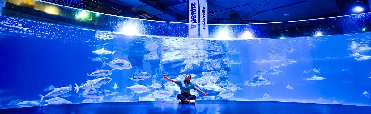 Aquaria Phuket - Phuket Thailand