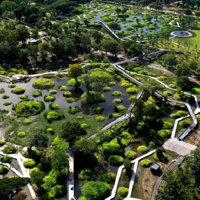 Parks + Oasen - Entspannung in wilder Natur im Herzen Bangkoks, im Benjakitti Park