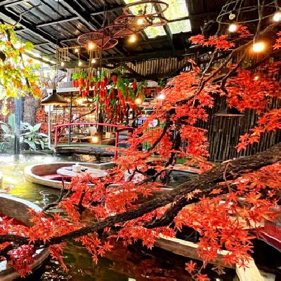 Chiang Mais magisches Restaurant