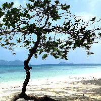 Koh Maak