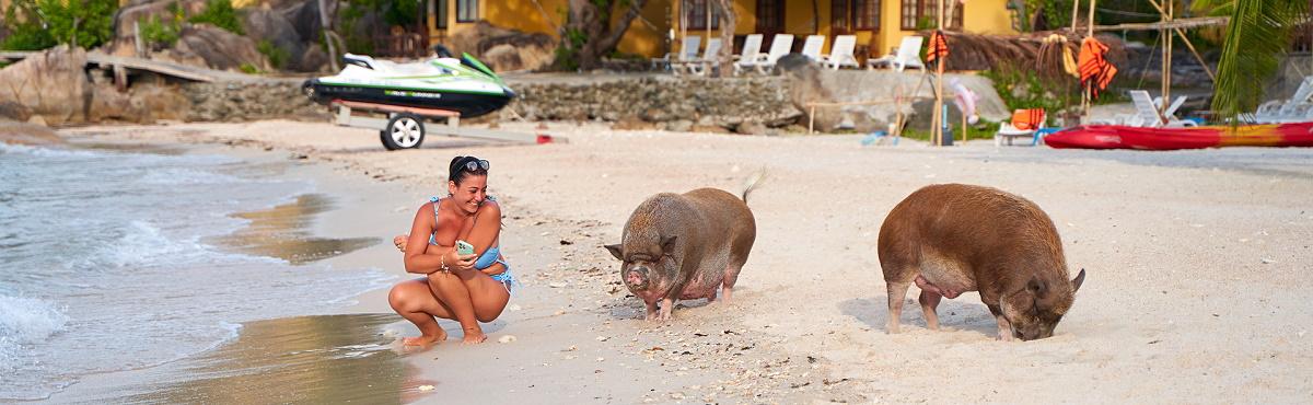 Koh Matsum - Koh Samui Thailand