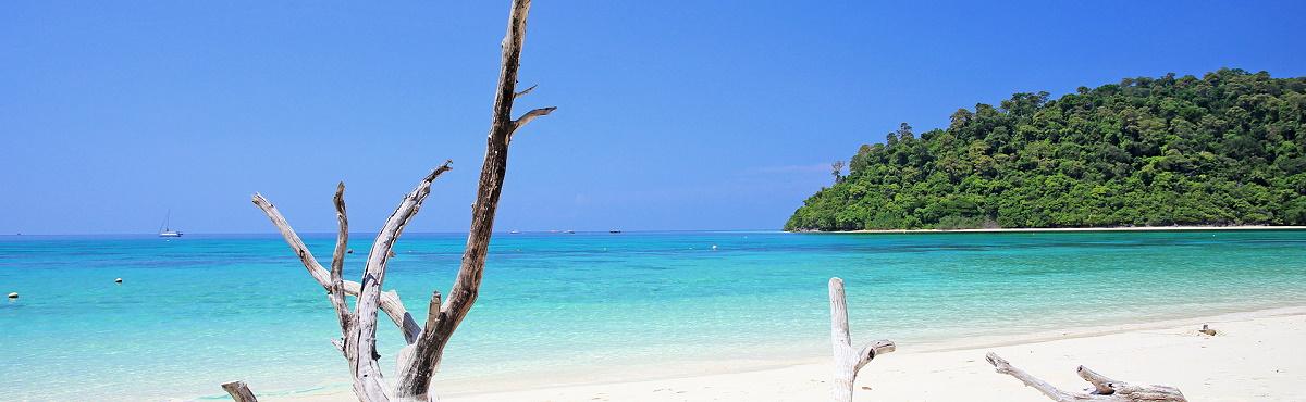 Koh Rok - Krabi Thailand