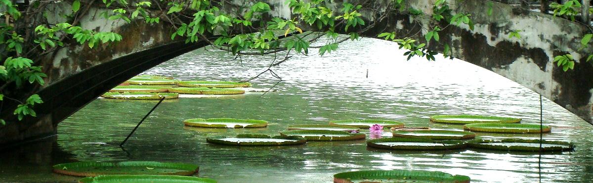 Parks + Oasen - Bangkok Thailand