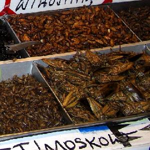 Insekten essen in Thailand