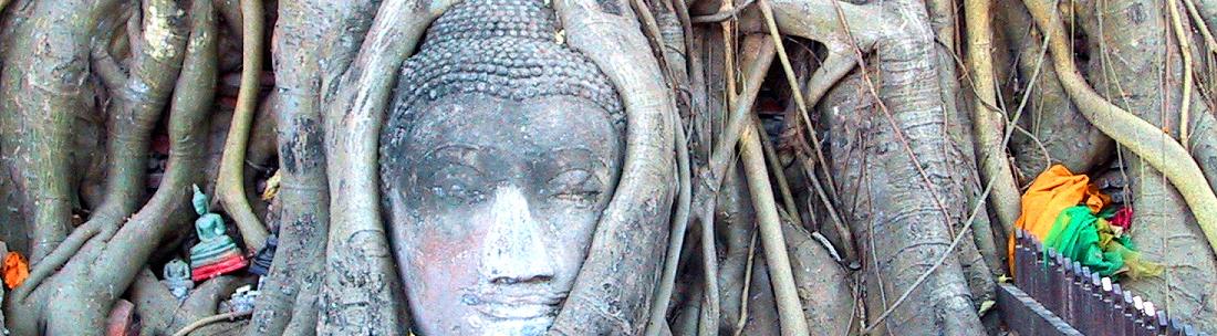 Wat Mahathat - Ayutthaya Thailand