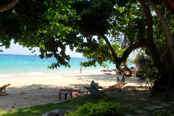 Resort am Strand Phi Phi Relax Beach Resort in Koh Phi Phi - Bild 1