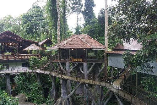 Rock and Tree House Resort - Khao Sok