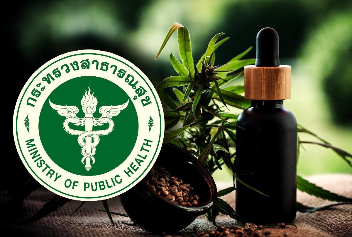 Zoom Cannabis + Kraut Kurioses in Thailand - 1