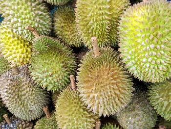 Thailands Vielfalt exotischer Frchte