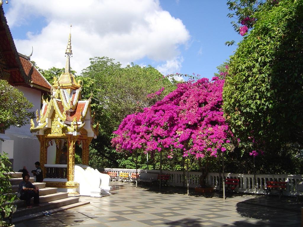 Zoom Wat Doi Suthep in Chiang Mai