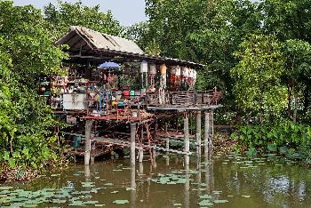 Reiseinfo Thailands Stelzenhäuser - zwischen Fluss, Flut und Freiheit Thailands Stelzenhäuser - zwischen Fluss, Flut und Freiheit