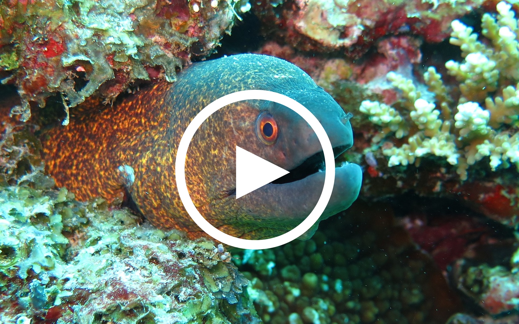 Fischen in Thailand