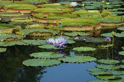 Doi Khun Tan National Park - Bild 2