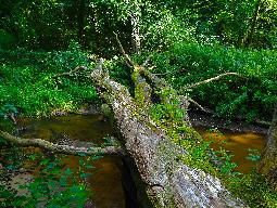 Khao Khitchakut National Park - Bild 1