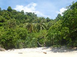 Bild Khao Laem Ya Mu Ko Samet National Park