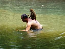 Khao Sok National Park - Bild 3