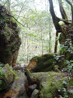 Khao Yai National Park - Bild 8