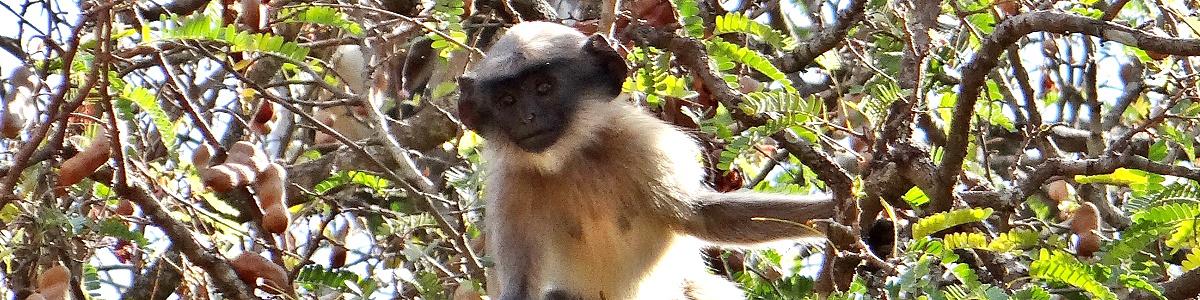 Nationalparks in Thailand