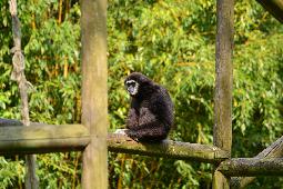 Mae -Ping -Hat -Kor National Park - Bild 1