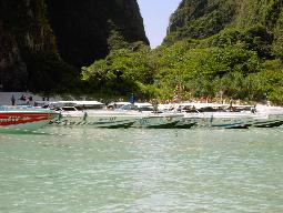 Mu Ko Phi Phi Marine National Park - Bild 3