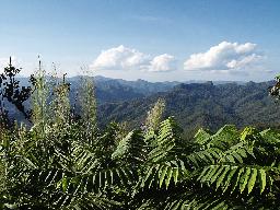 Phu Rua National Park - Bild 2