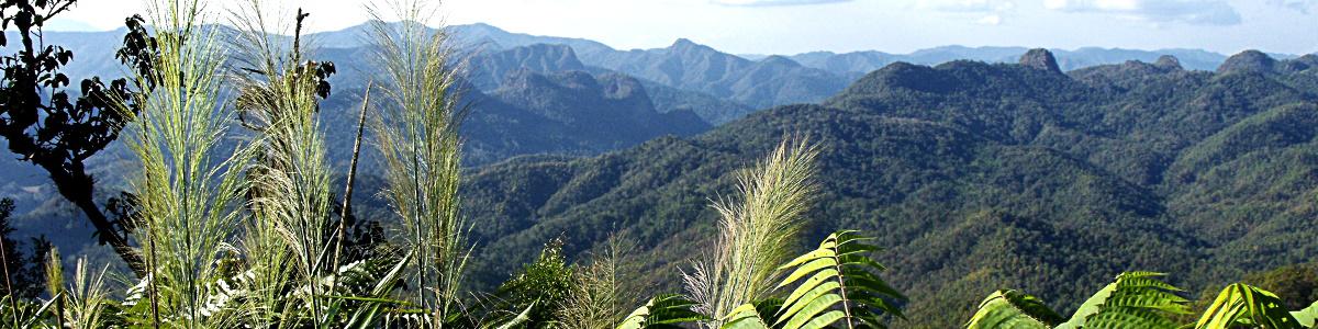 Nationalparks in Thailand