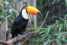 Tung Sa-Laeng Luang Nationalpark - Bild 2