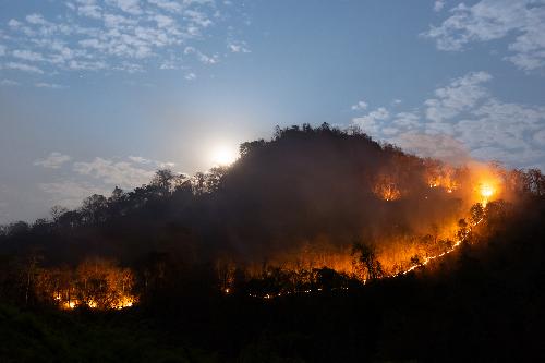 1.290 Beamte zur Prävention von Waldbränden und Brandrodungen - Reisenews Thailand - Bild 1