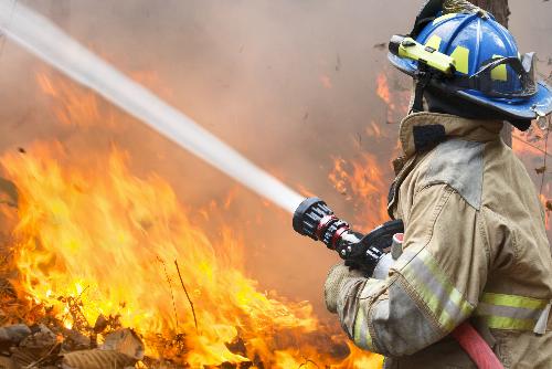 1.290 Beamte zur Prävention von Waldbränden und Brandrodungen - Reisenews Thailand - Bild 2