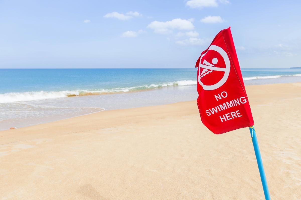 13-Jähriger stirbt nach mutmaßlichem Kontakt mit Würfelqualle - Tragödie am Strand von Sichon - Experten rätseln über ungewöhnlich frühen Vorfall Symbolfoto 3