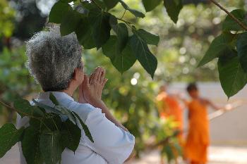 Bild 8 Dinge die sich durch Covid-19 in Thailand gendert haben