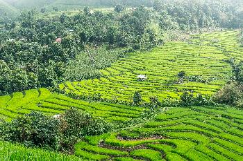 Abenteuer Mae Hon Son Loop - Thailand Blog - Bild 3