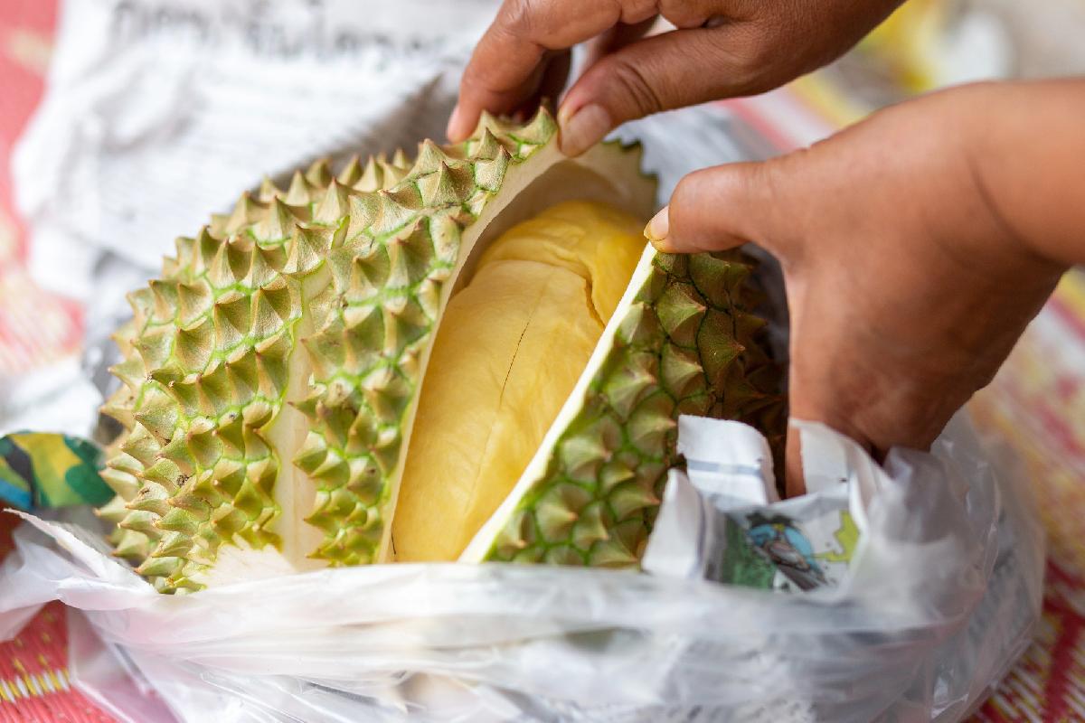 Alkohol und Durian - eine toxische Kombination - Die Stinkfrucht und das Bier - ein Mix mit überraschendem Risiko Symbolfoto 4