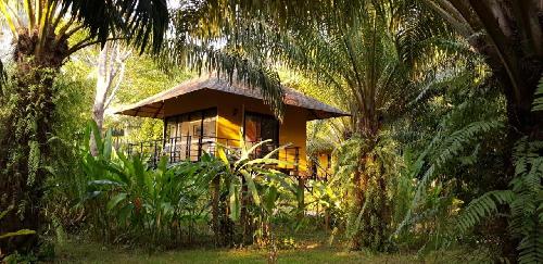 Ausgezeichnet: Anurak Lodge im Khao Sok Nationalpark - Reisenews Thailand - Bild 1