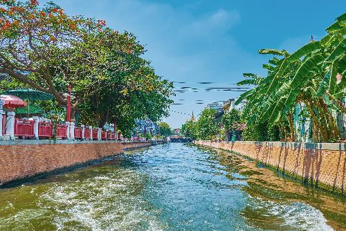 Bangkoks Baum-Pflanzprogramm fr eine grnere Stadt - Reisenews Thailand - Bild 1
