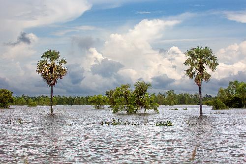 Bisher 4 Tote und 72.000 überschwemmte Haushalte - Reisenews Thailand - Bild 2 © Gerhard Veer