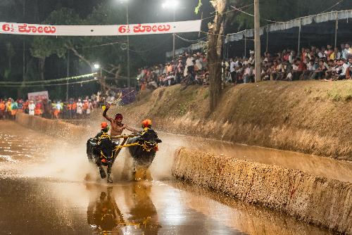 Buffalo Racing Festival Chonburi - Veranstaltungen - Bild 1