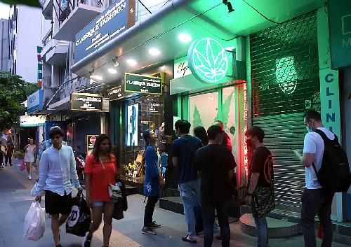 Cannabis kaufen in Thailand - Reisenews Thailand - Bild 1